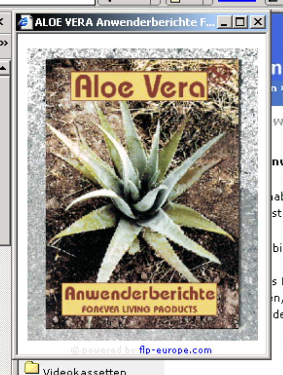 Bild: Das Titelbild von 