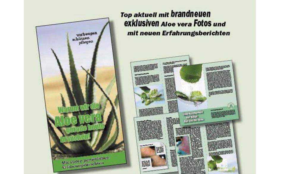 Bild: Promo-Flyer der neuen Broschur 