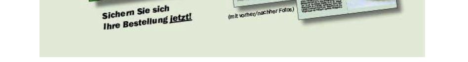 Bild: Promo-Flyer der neuen Broschur 