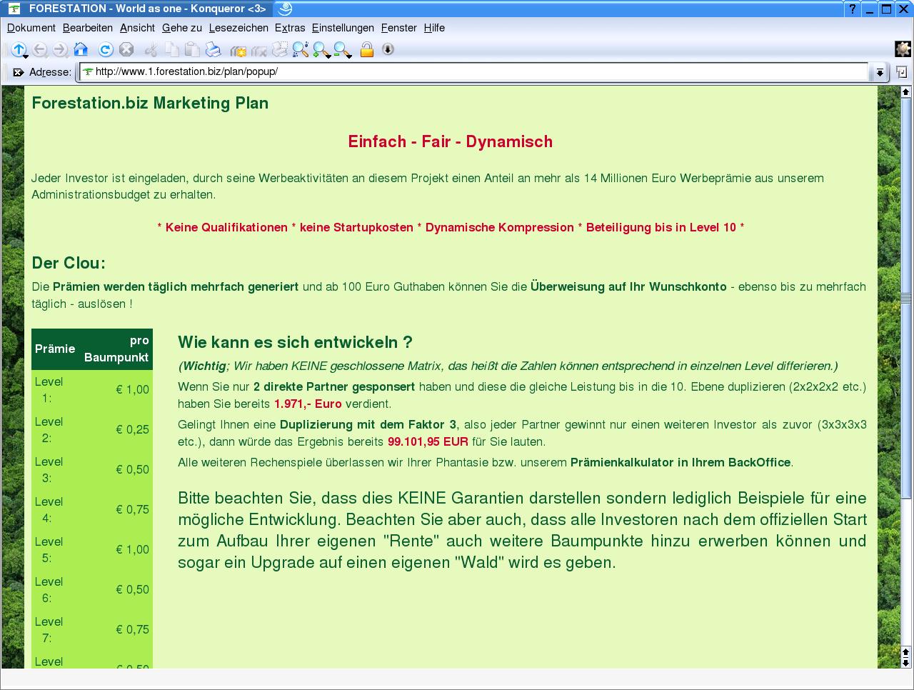 Marketingplan, 1. Teil, von forestation.biz