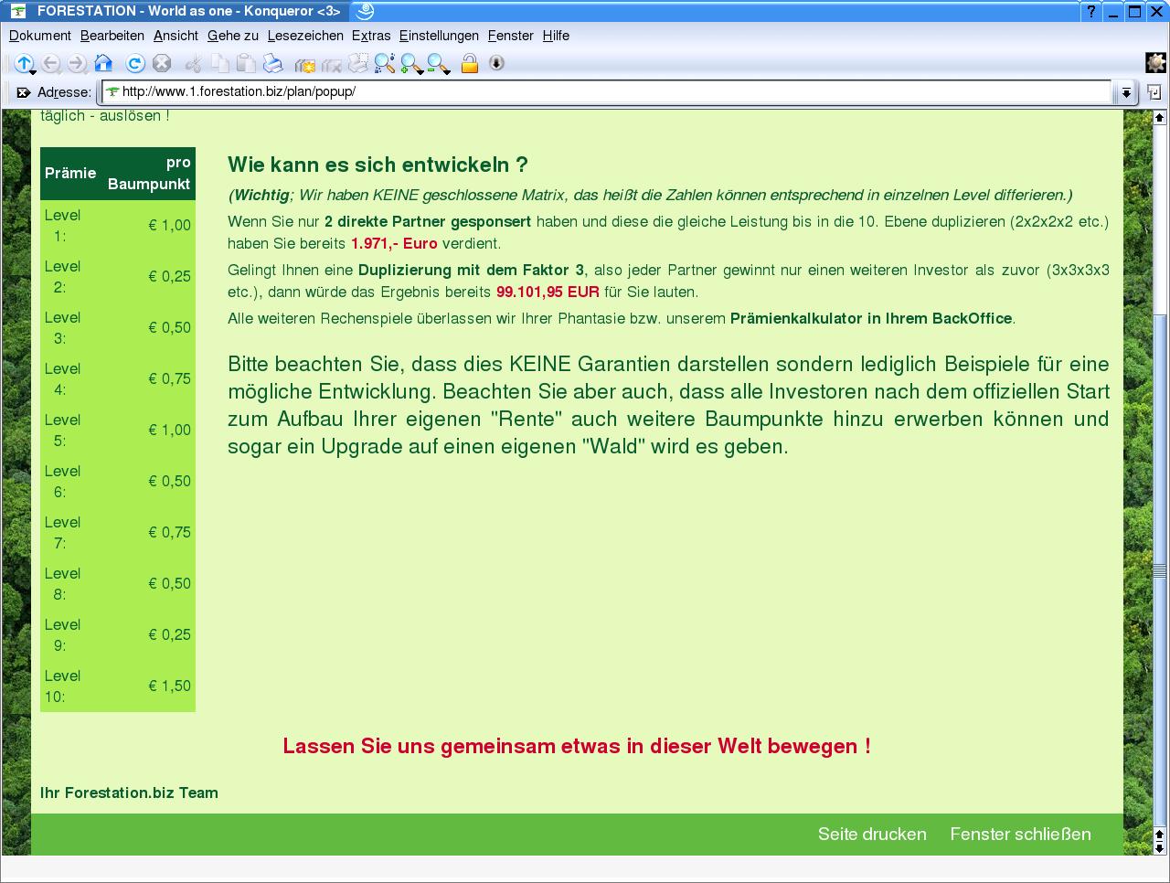 Marketingplan, 2. Teil, von forestation.biz