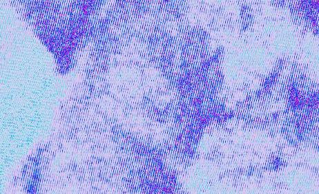 hws_pic4.jpg