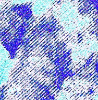 hws_pic5.jpg
