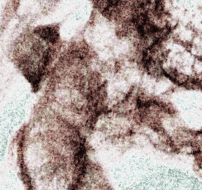 hws_pic6.jpg