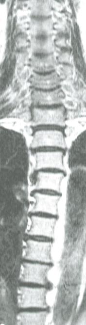 hws_pic7.jpg