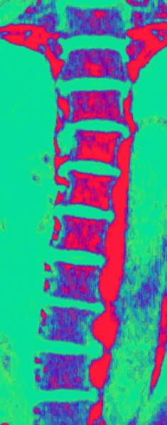 hws_pic9.jpg